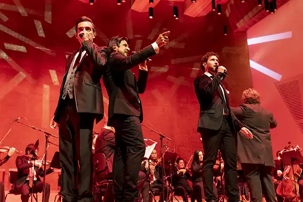 Álbum Concierto